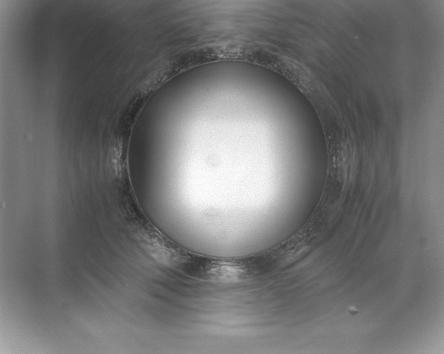 X0000071950610200607212228