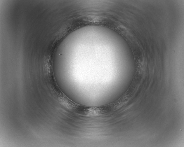 X0000071950612200607212228