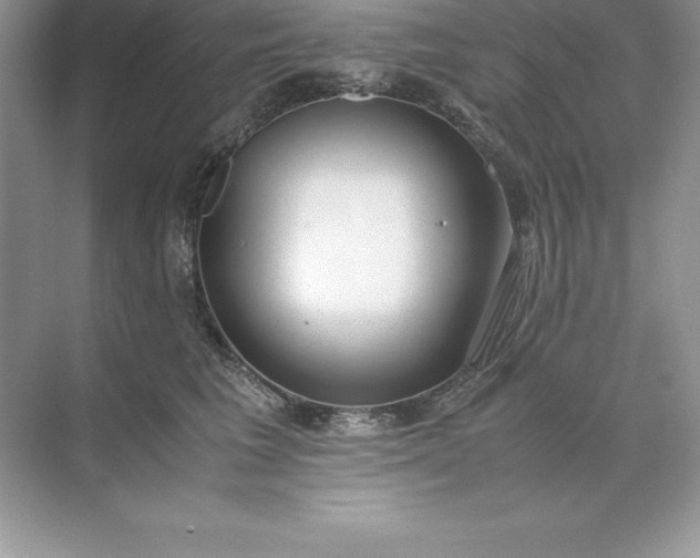 X0000071950613200607212228