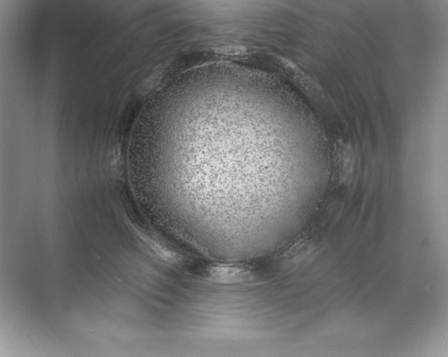 X0000071950614200607212228