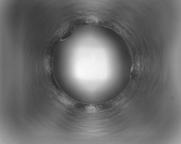 X0000071950616200607212228