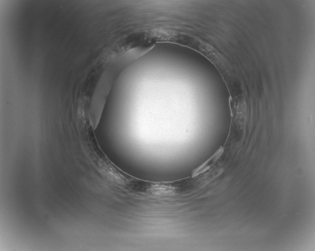 X0000071950617200607212228