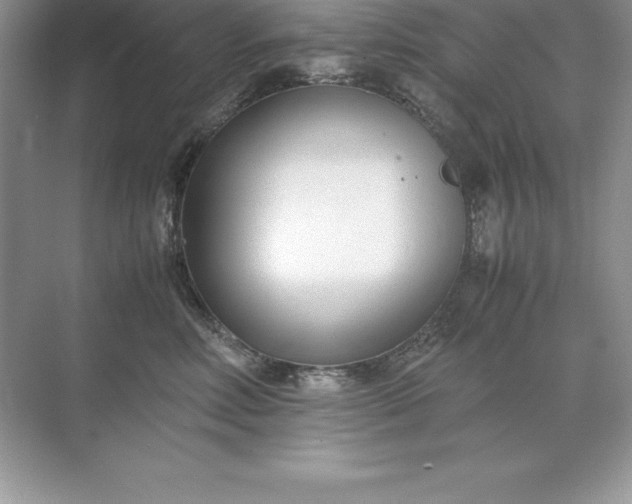 X0000071950618200607212228