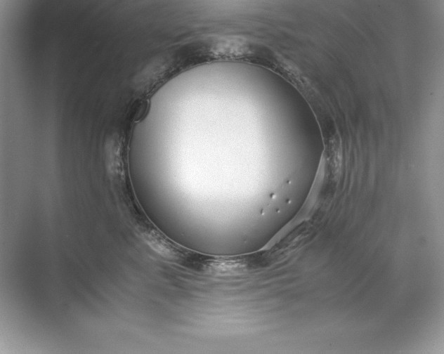 X0000071950619200607212228