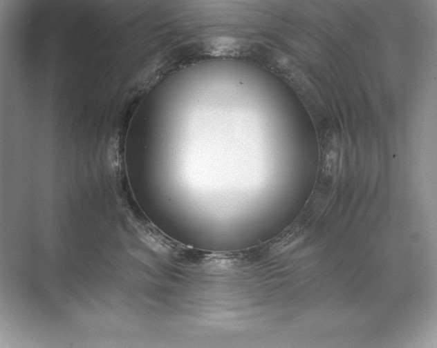 X0000071950620200607212228