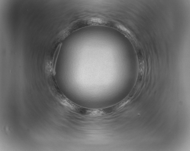 X0000071950621200607212228