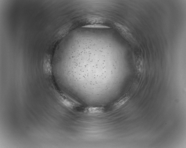 X0000071950622200607212228