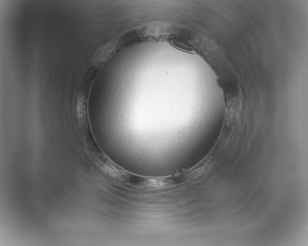 X0000071950623200607212228