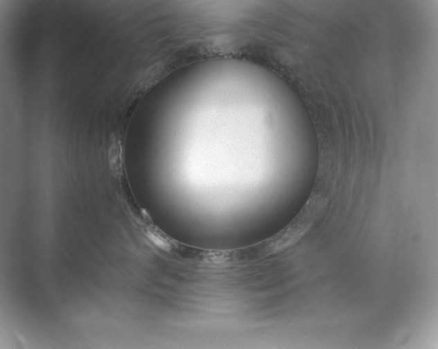 X0000071950624200607212228