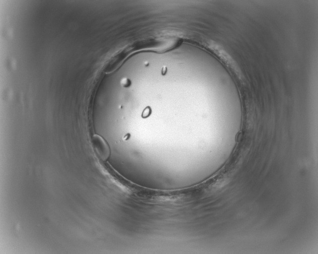 X0000071950625200607212227