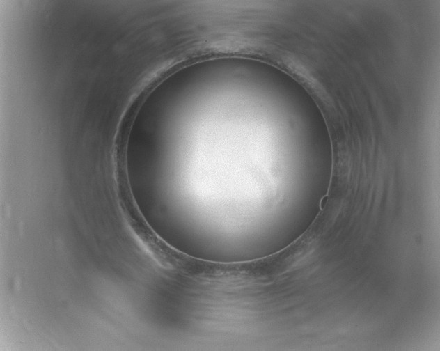 X0000071950626200607212227