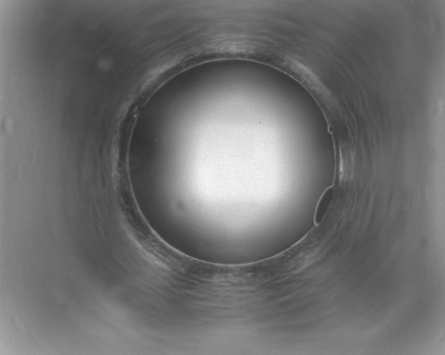 X0000071950627200607212227