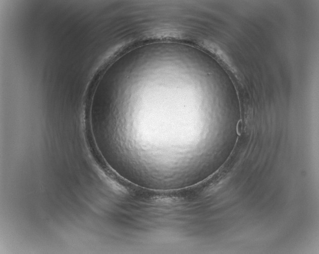 X0000071950629200607212227