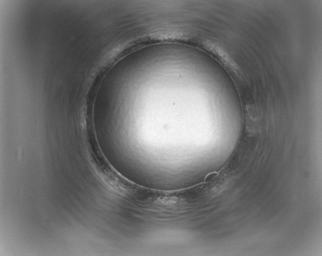 X0000071950631200607212227