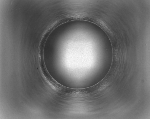 X0000071950634200607212227