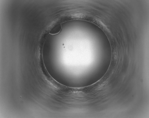 X0000071950637200607212227