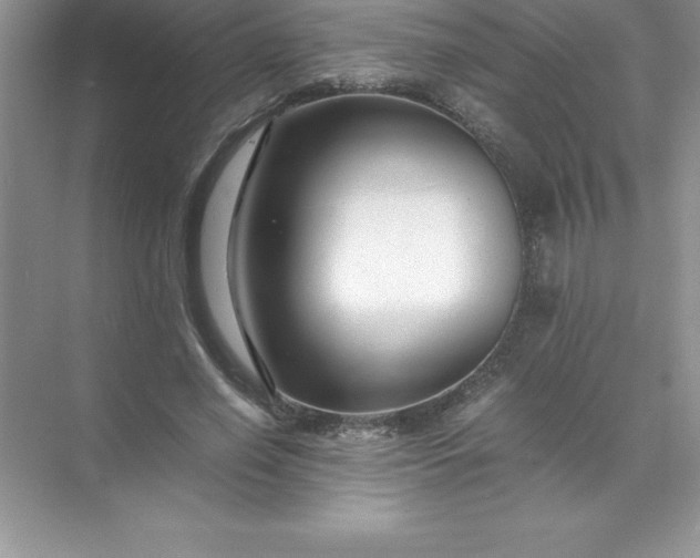 X0000071950638200607212227