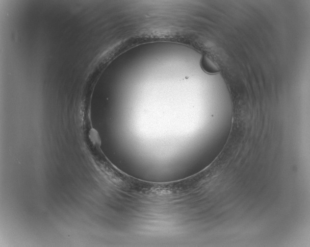 X0000071950640200607212227