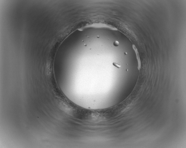 X0000071950641200607212227