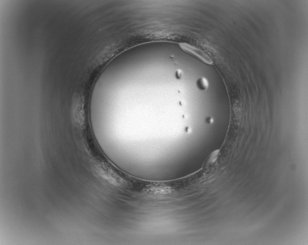 X0000071950642200607212227