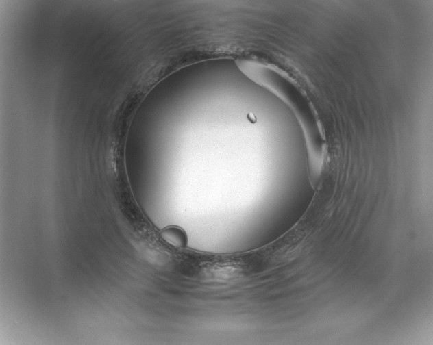 X0000071950643200607212227