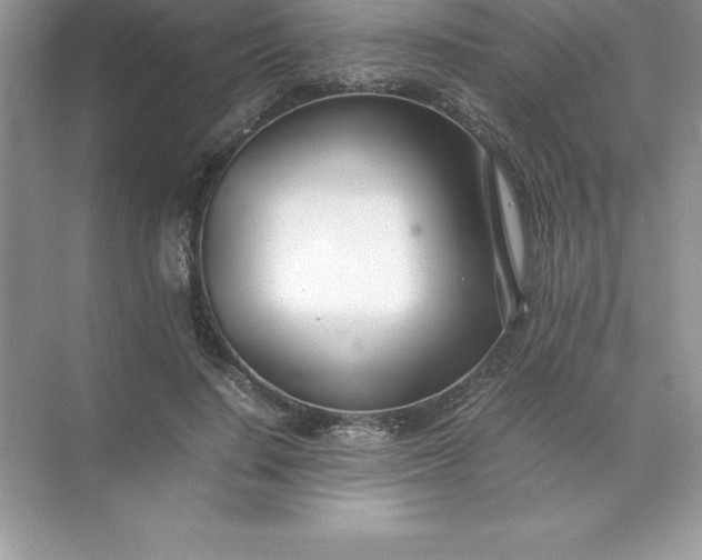 X0000071950644200607212227