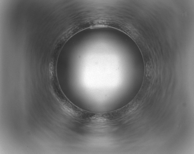 X0000071950648200607212227