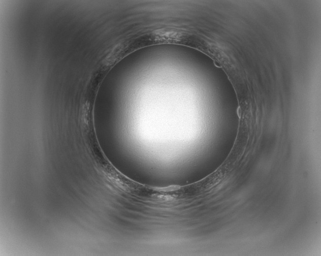 X0000071950649200607212227