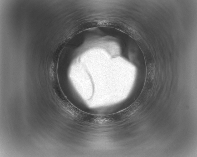 X0000071950650200607212227