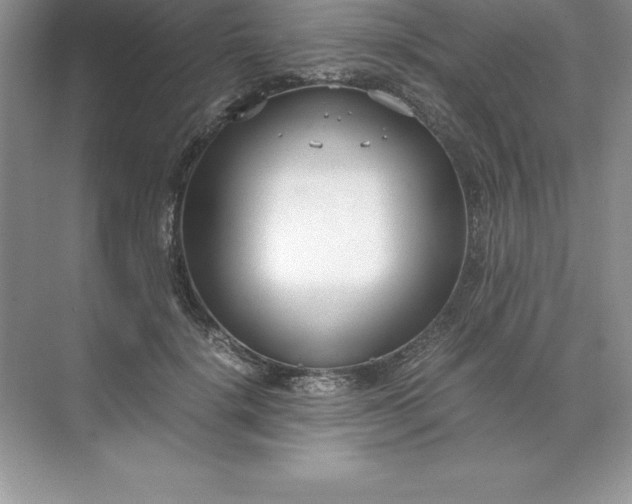 X0000071950652200607212228