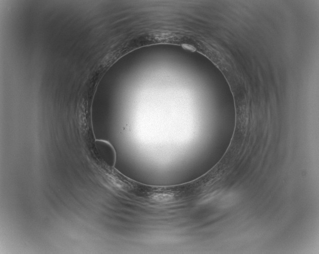 X0000071950653200607212228