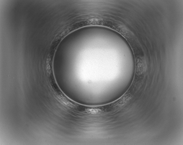 X0000071950654200607212228