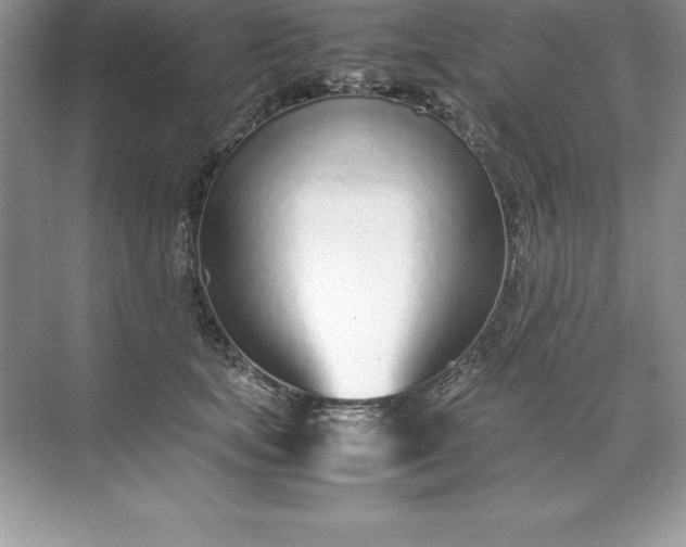 X0000071950659200607212228