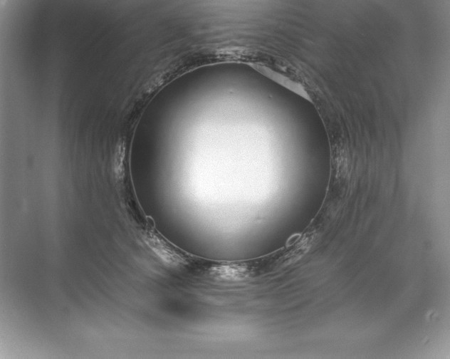 X0000071950660200607212228