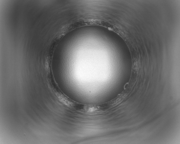 X0000071950662200607212228