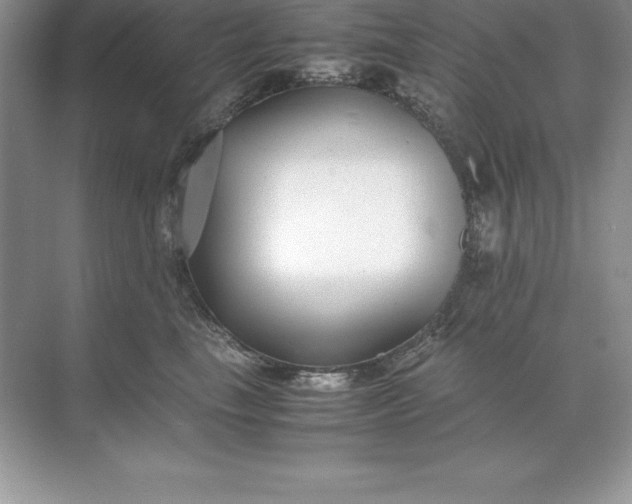 X0000071950665200607212228