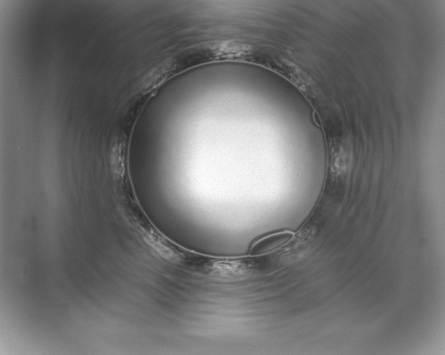 X0000071950666200607212228