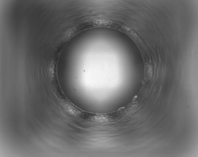 X0000071950668200607212228