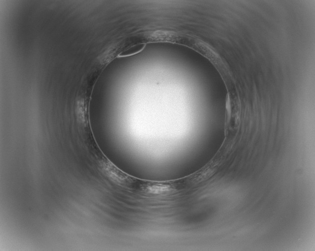 X0000071950669200607212228