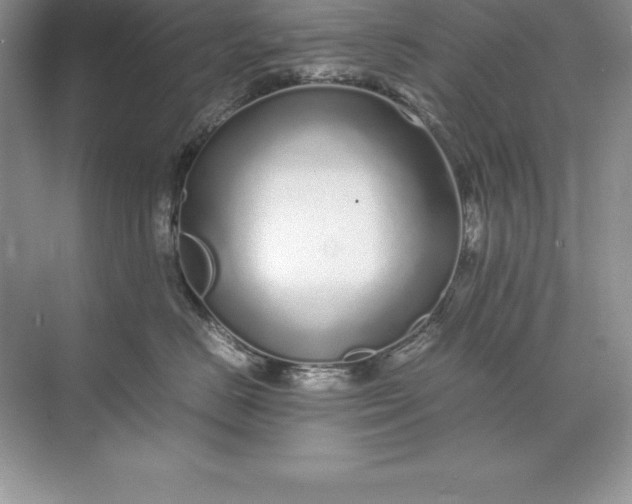 X0000071950670200607212228