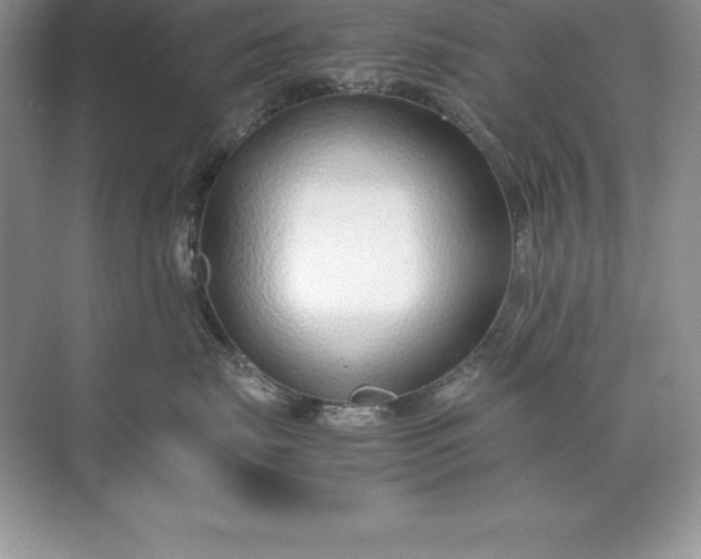 X0000071950671200607212228