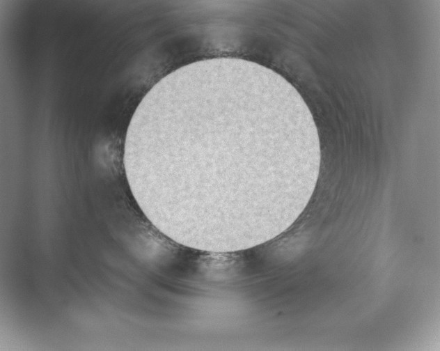 X0000071950672200607212228