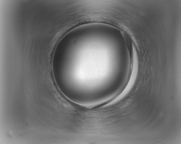 X0000071950673200607212227