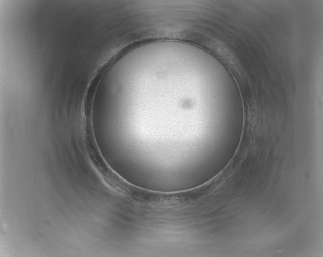 X0000071950674200607212227