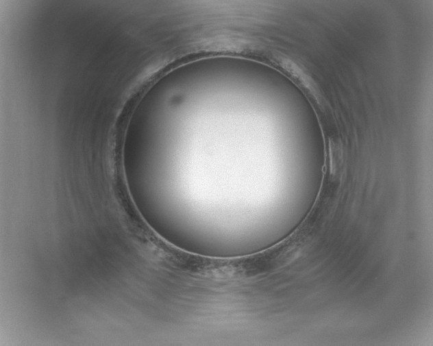 X0000071950675200607212227