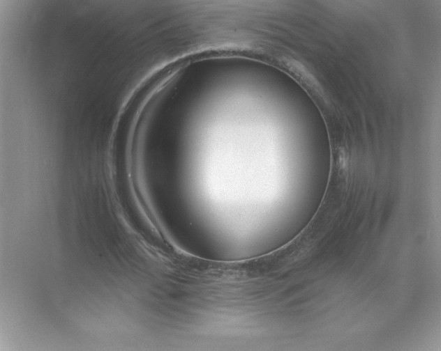 X0000071950676200607212227