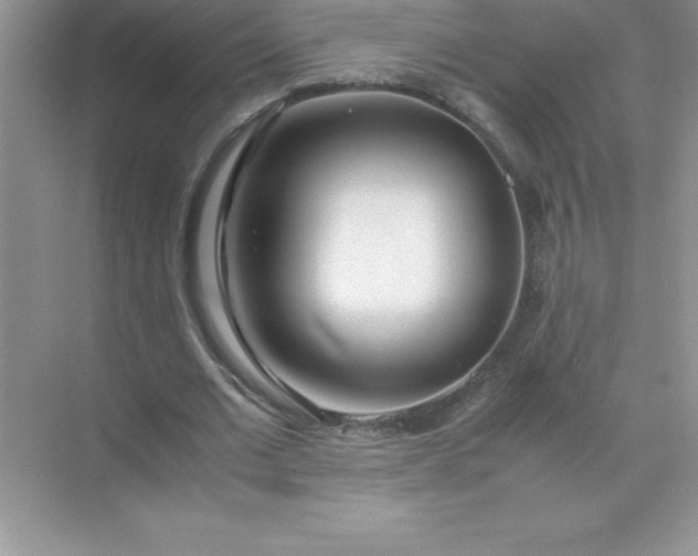 X0000071950677200607212227