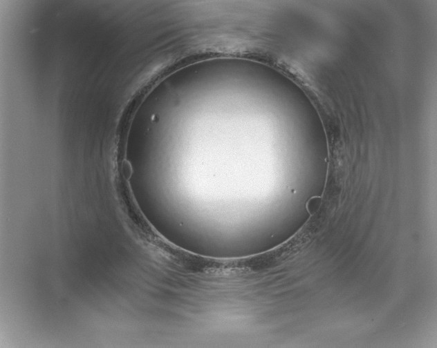 X0000071950679200607212227