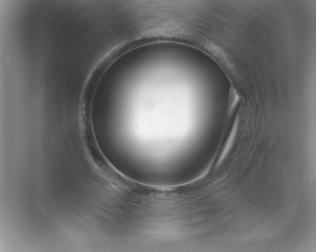 X0000071950680200607212227