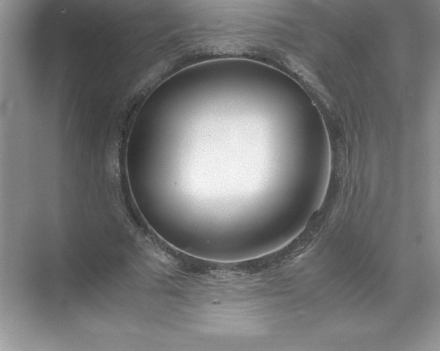 X0000071950681200607212227